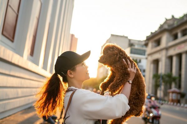 【寵物遺物處理】放下執念，留給自己最美好的回憶！