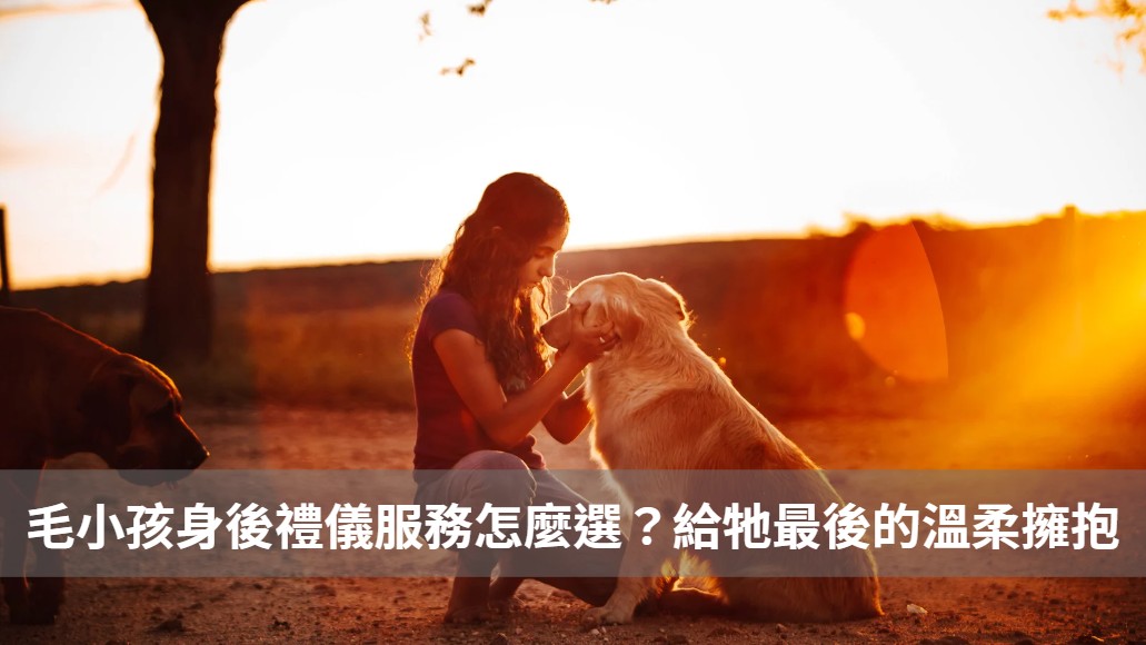 毛小孩身後禮儀服務怎麼選？給牠最後的溫柔擁抱